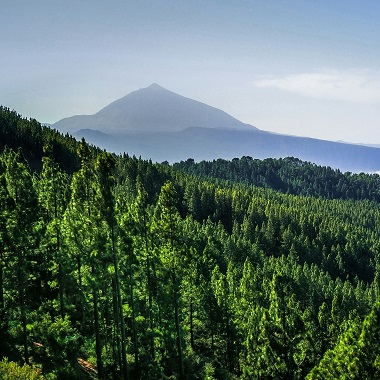 Tenerife - Binter